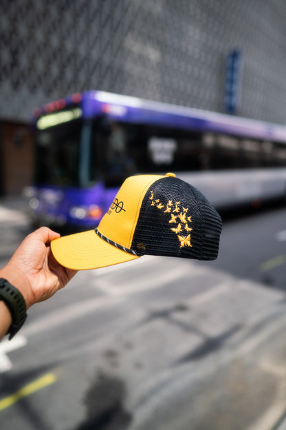 City Cap: 412